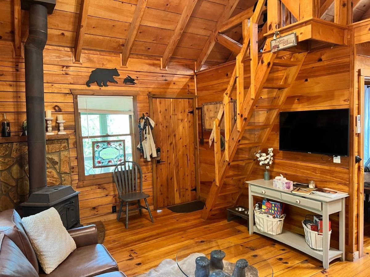 Log Cabin With Mountain View And Privacy Blue Ridge Extérieur photo
